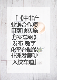 《中非产业链合作项目落地实施方案总纲》发布 数字化平台赋能非洲发展驶入快车道