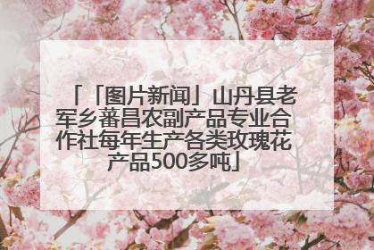 「图片新闻」山丹县老军乡蕃昌农副产品专业合作社每年生产各类玫瑰花产品500多吨
