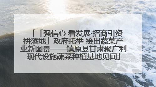 「强信心 看发展·招商引资拼落地」政府托举 绘出蔬菜产业新图景——镇原县甘肃聚广利现代设施蔬菜种植基地见闻