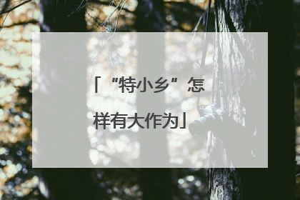 “特小乡”怎样有大作为