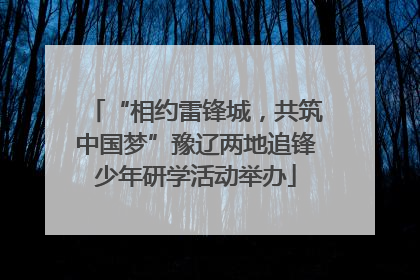 “相约雷锋城，共筑中国梦”豫辽两地追锋少年研学活动举办