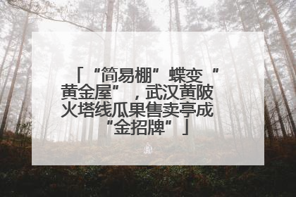 “简易棚”蝶变“黄金屋”，武汉黄陂火塔线瓜果售卖亭成“金招牌”