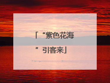 “紫色花海”引客来