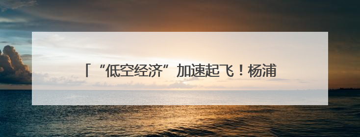 “低空经济”加速起飞！杨浦亮相2025世界无人机大会