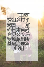 “主防”绣出乡村平安图——解码甘肃省高台县公安局罗城派出所基层治理新实践
