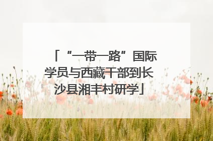 “一带一路”国际学员与西藏干部到长沙县湘丰村研学