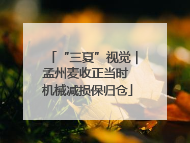“三夏”视觉｜孟州麦收正当时 机械减损保归仓