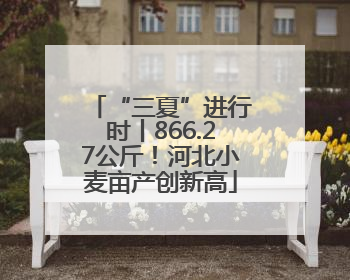 “三夏”进行时丨866.27公斤！河北小麦亩产创新高