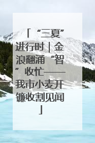 “三夏”进行时｜金浪翻涌“智”收忙——我市小麦开镰收割见闻