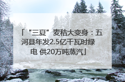 “三夏”麦秸大变身：五河县年发2.5亿千瓦时绿电 供20万吨蒸汽