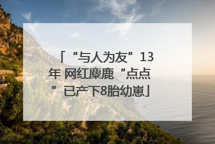 “与人为友”13年 网红麋鹿“点点”已产下8胎幼崽
