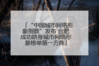 “中国城市网络形象指数”发布 合肥成功跻身城市网络形象榜单第一方阵