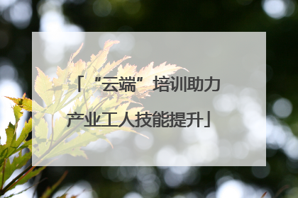 “云端”培训助力产业工人技能提升