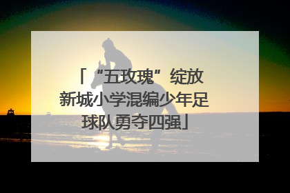 “五玫瑰”绽放 新城小学混编少年足球队勇夺四强