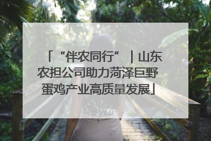 “伴农同行”｜山东农担公司助力菏泽巨野蛋鸡产业高质量发展