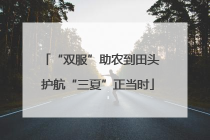 “双服”助农到田头 护航“三夏”正当时