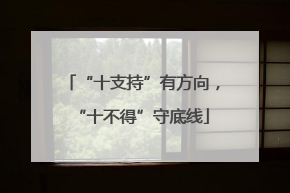 “十支持”有方向，“十不得”守底线