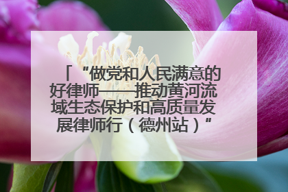 “做党和人民满意的好律师——推动黄河流域生态保护和高质量发展律师行（德州站）”活动成功举办