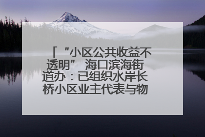 “小区公共收益不透明” 海口滨海街道办：已组织水岸长桥小区业主代表与物业进行座谈