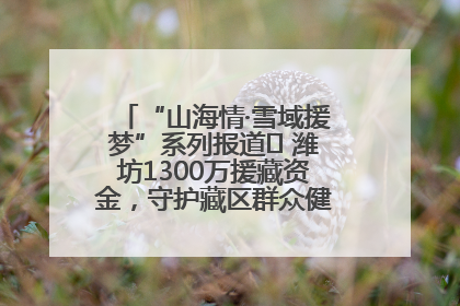 “山海情·雪域援梦”系列报道⑪ 潍坊1300万援藏资金，守护藏区群众健康“最后一公里”