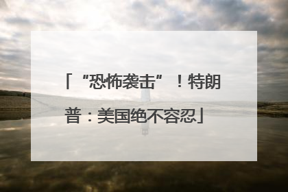 “恐怖袭击”！特朗普：美国绝不容忍