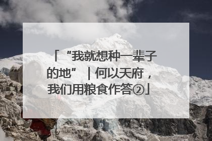 “我就想种一辈子的地”｜何以天府，我们用粮食作答②