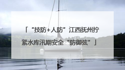 “技防+人防”江西抚州拧紧水库汛期安全“防御弦”
