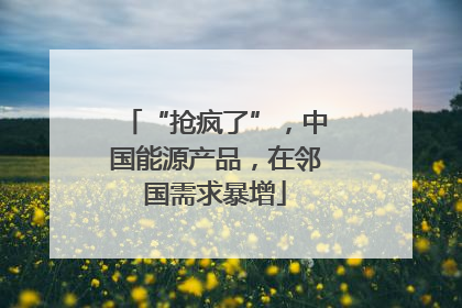 “抢疯了”，中国能源产品，在邻国需求暴增