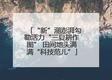 “新”潮澎湃勾勒活力“三夏耕作图” 田间地头满满“科技范儿”