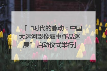“时代的脉动：中国大运河影像叙事作品巡展” 启动仪式举行