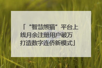 “智慧熊猫”平台上线月余注册用户破万 打造数字连侨新模式