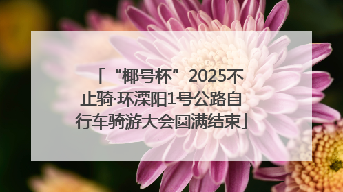 “椰号杯”2025不止骑·环溧阳1号公路自行车骑游大会圆满结束