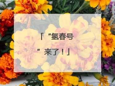 “氢春号”来了！