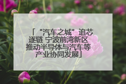 “汽车之城”追芯逐链 宁波前湾新区推动半导体与汽车等产业协同发展