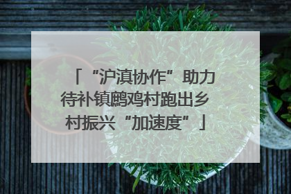 “沪滇协作”助力待补镇鹧鸡村跑出乡村振兴“加速度”