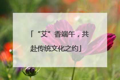 “艾”香端午，共赴传统文化之约