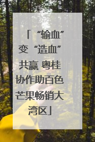 “输血”变“造血”共赢 粤桂协作助百色芒果畅销大湾区