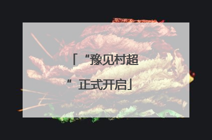 “豫见村超”正式开启
