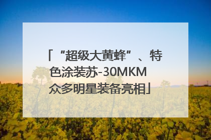 “超级大黄蜂”、特色涂装苏-30MKM 众多明星装备亮相