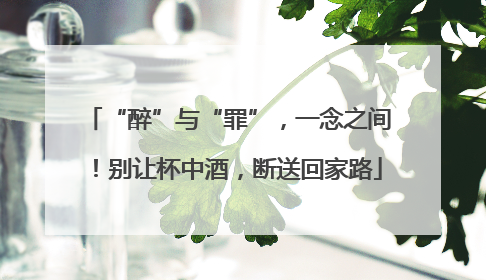 “醉”与“罪”，一念之间！别让杯中酒，断送回家路