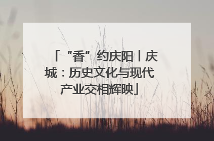 “香”约庆阳丨庆城：历史文化与现代产业交相辉映