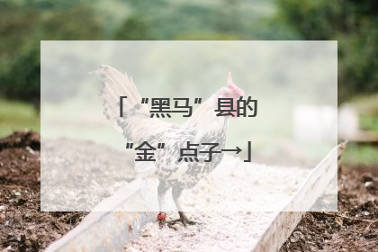 “黑马”县的“金”点子→