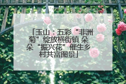玉山：五彩“非洲菊”绽放横街镇 朵朵“振兴花”催生乡村共富图景