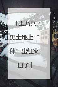王乃兵：黑土地上“种”出红火日子