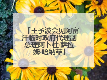 王予波会见阿富汗临时政府代理副总理阿卜杜·萨拉姆·哈纳菲