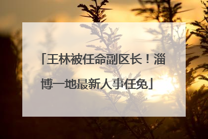 王林被任命副区长！淄博一地最新人事任免