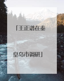 王正谱在秦皇岛市调研