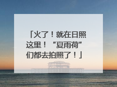 火了！就在日照这里！“夏雨荷”们都去拍照了！