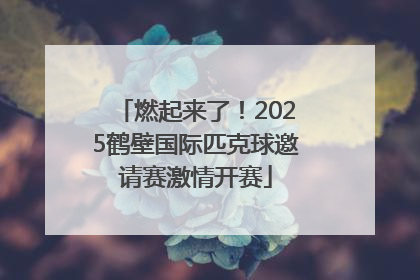 燃起来了！2025鹤壁国际匹克球邀请赛激情开赛