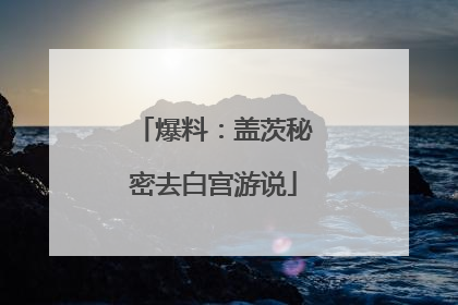 爆料：盖茨秘密去白宫游说